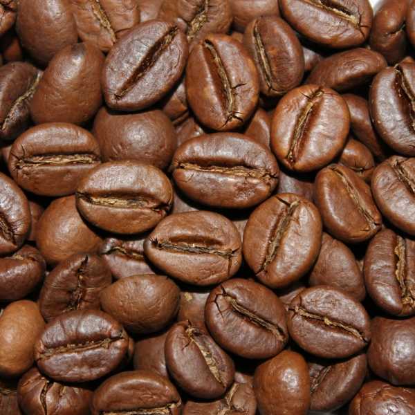 Robusta