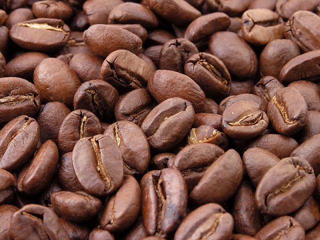 Arabica